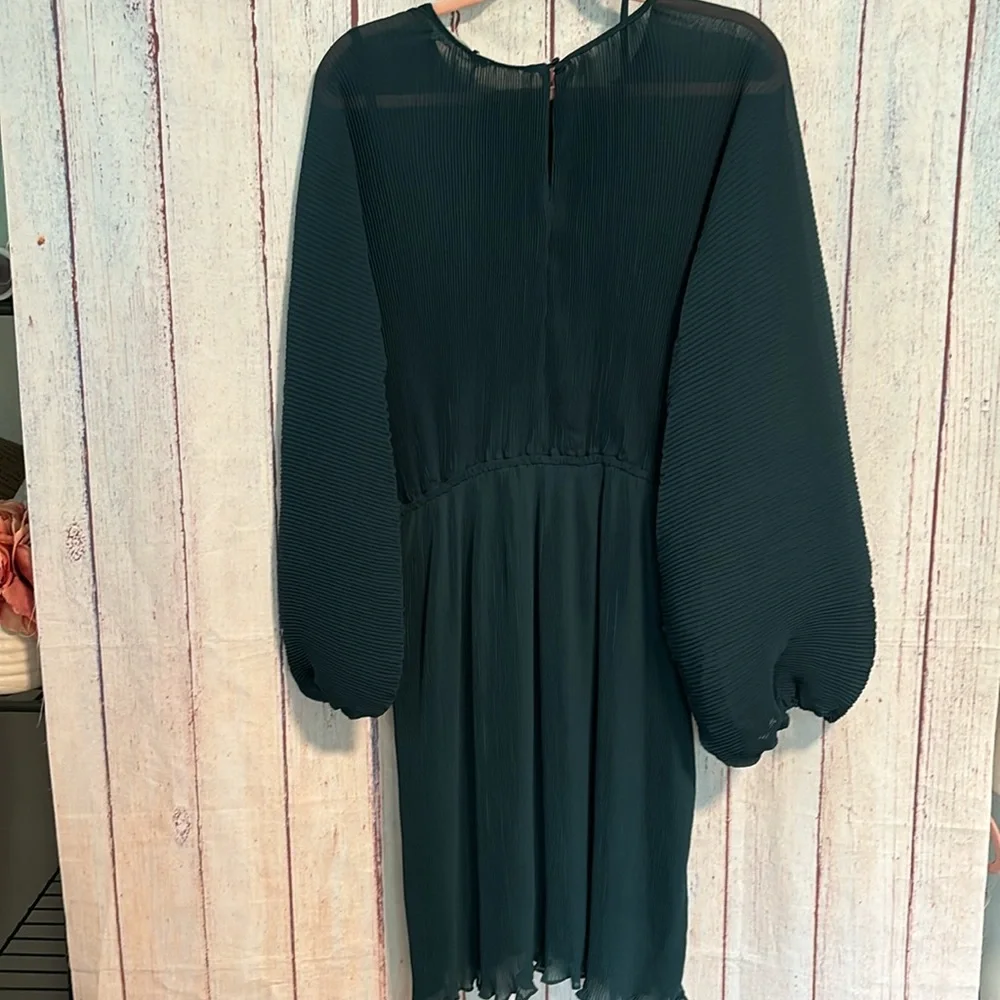 NWT Floret Studios Pleated Long Sleeve Mini Dress